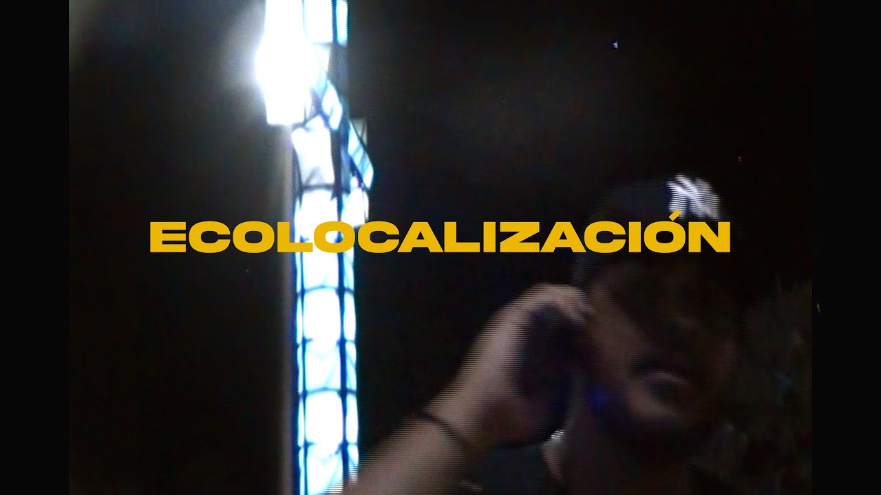 ECOLOCALIZACIÓN - TAYKO (Full Album) [Visualizer]