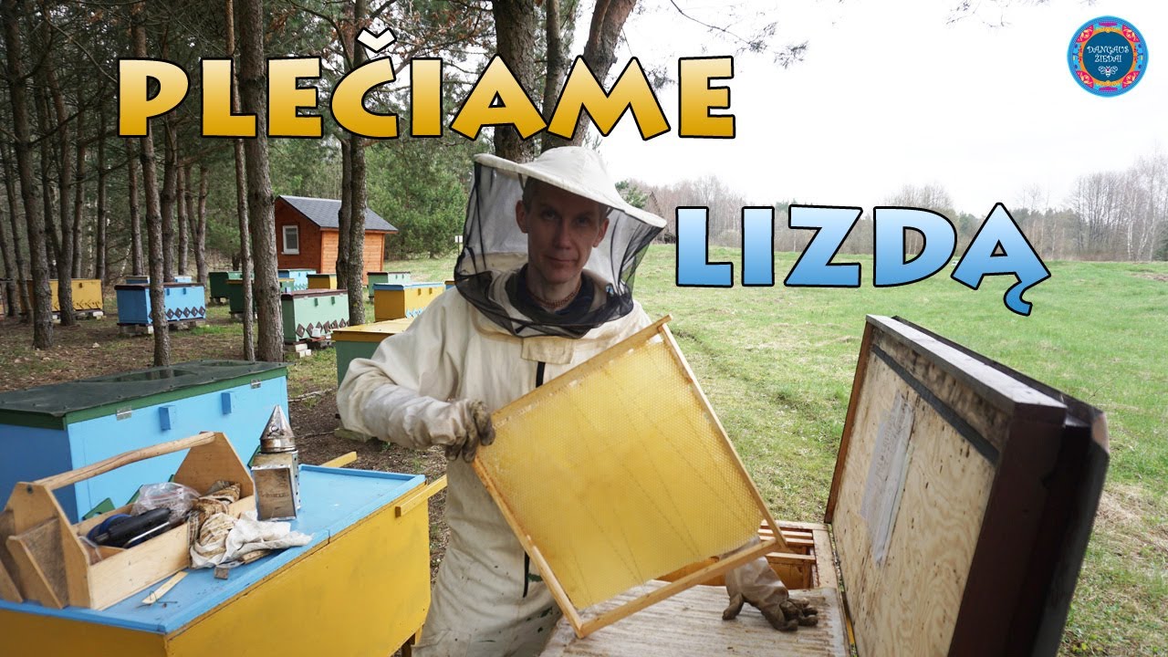 Plečiame lizdą