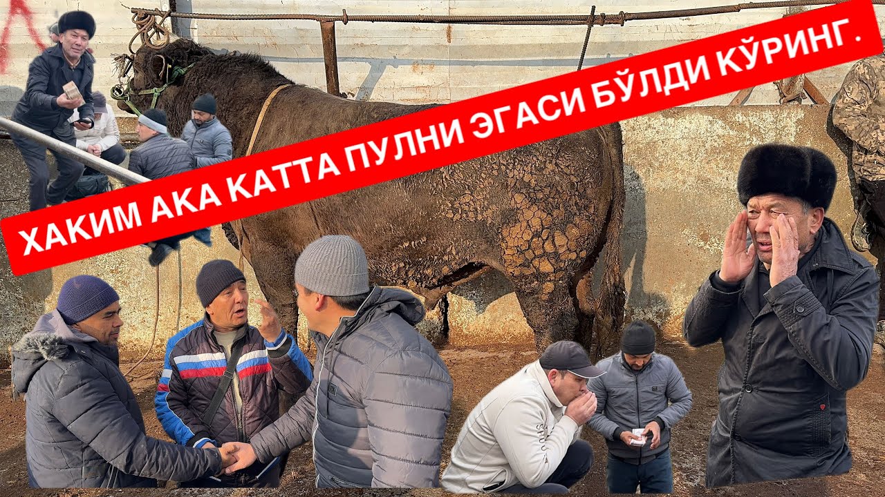 ЁР СИТИ СЕМИЗ БУҚАЛАРДА ТУШУНАРСИЗ БОЗОР НАРХЛАРИ ХАКИМ АКА БОШ РЎЛДА КИНО. 