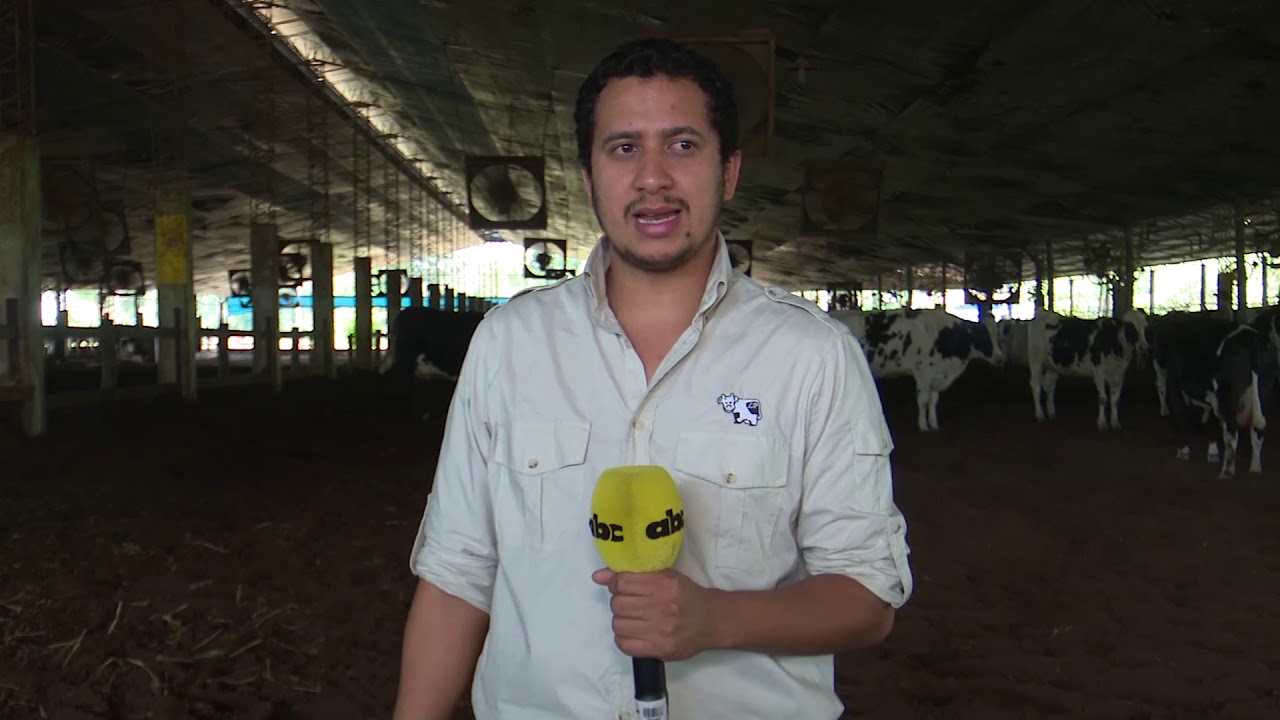 Compost barn en la producción de leche