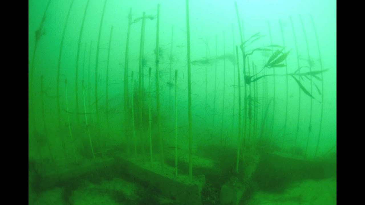 Suivi des récifs artificiels Cap Ferret