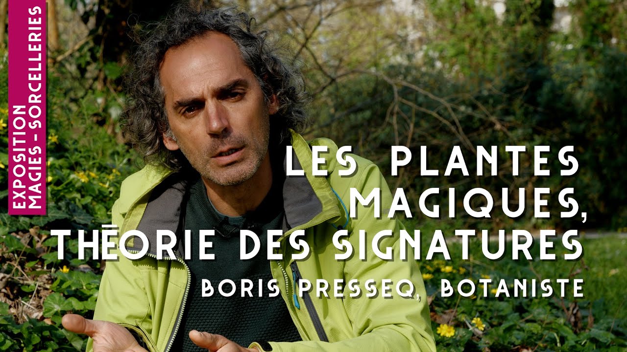 #2 - La théorie des signatures - Plantes Magiques
