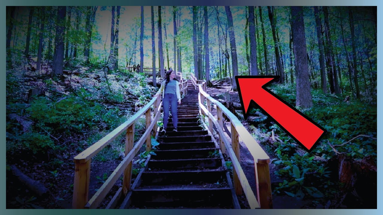 We Climbed The Stairs In The Woods...