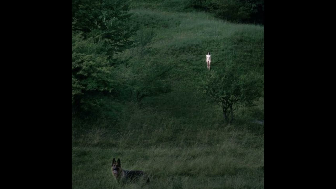 [free for profit] bossanova x indie pop type beat - 