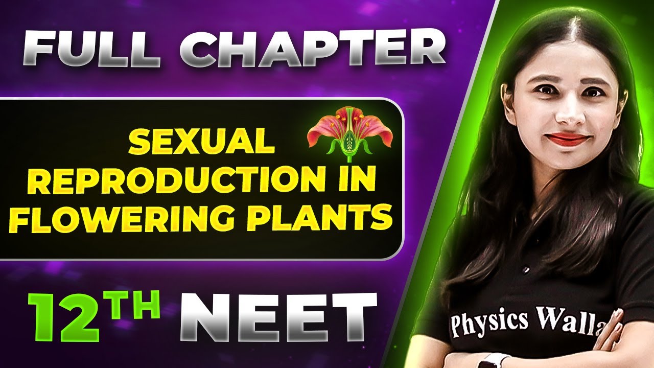 Sexual Reproduction Flowering Plants FULL CHAPTER | Class 12th Botany | Lakshya NEET