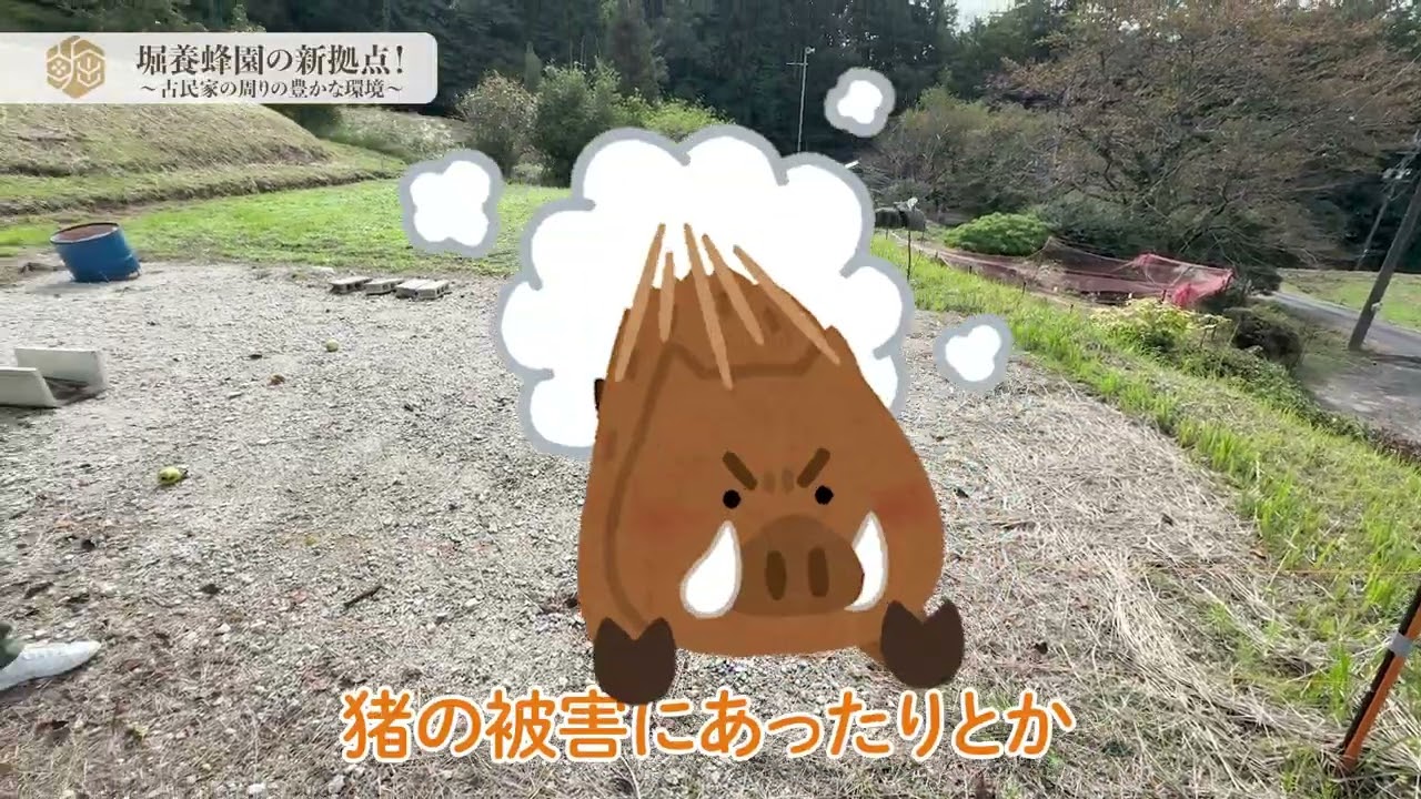堀養蜂園の新拠点！〜古民家の周りの豊かな環境〜