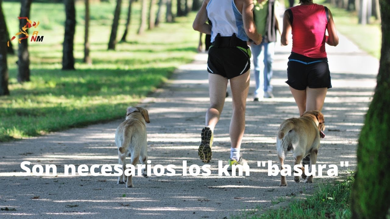 Son necesarios los km 