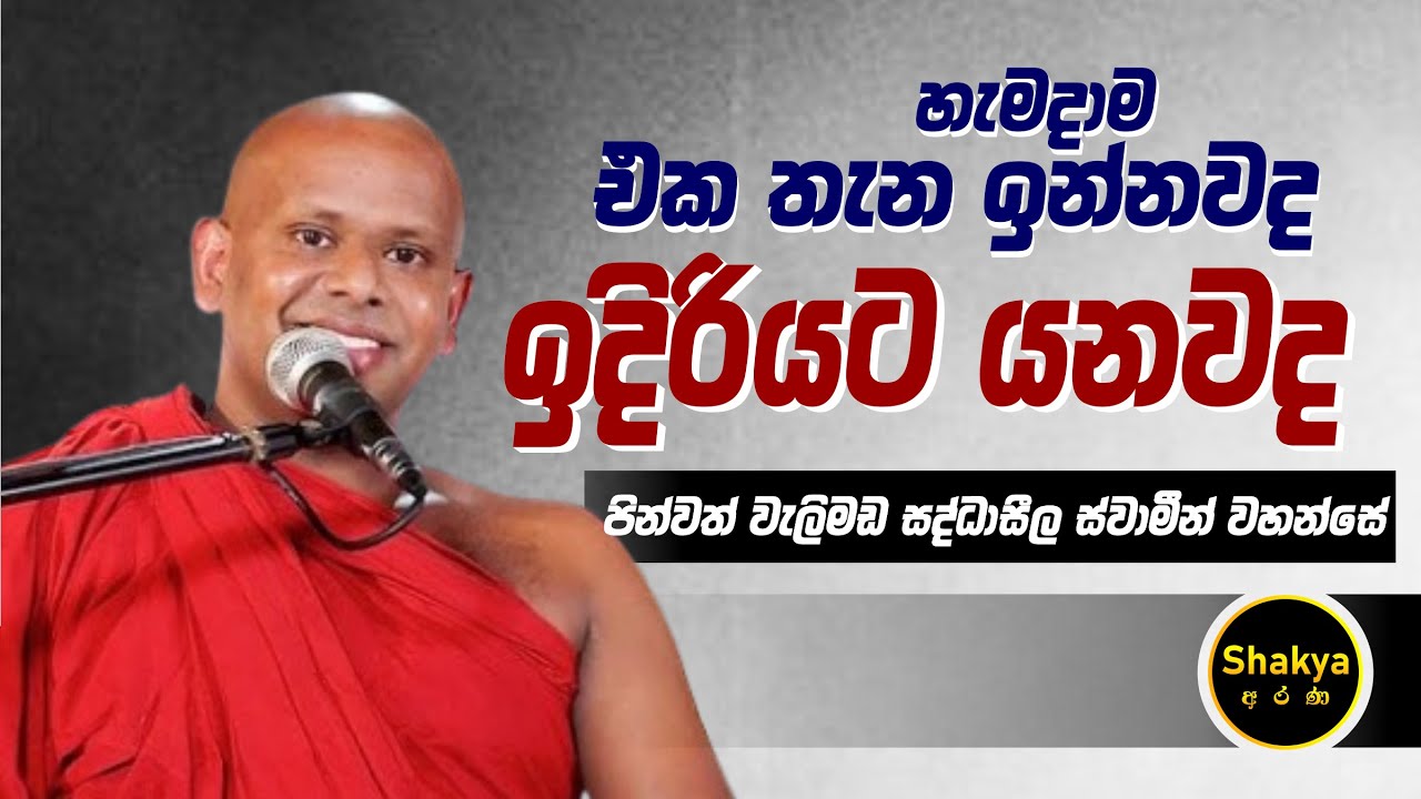 හැමදාම එක තැන ඉන්නවද ඉදිරියට යනවද | ven. Welimada Saddaseela thero |@shakyaarana
