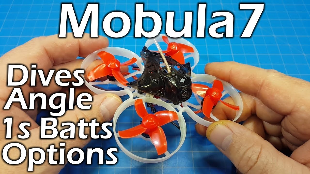 Mobula 7 - Detail Dive