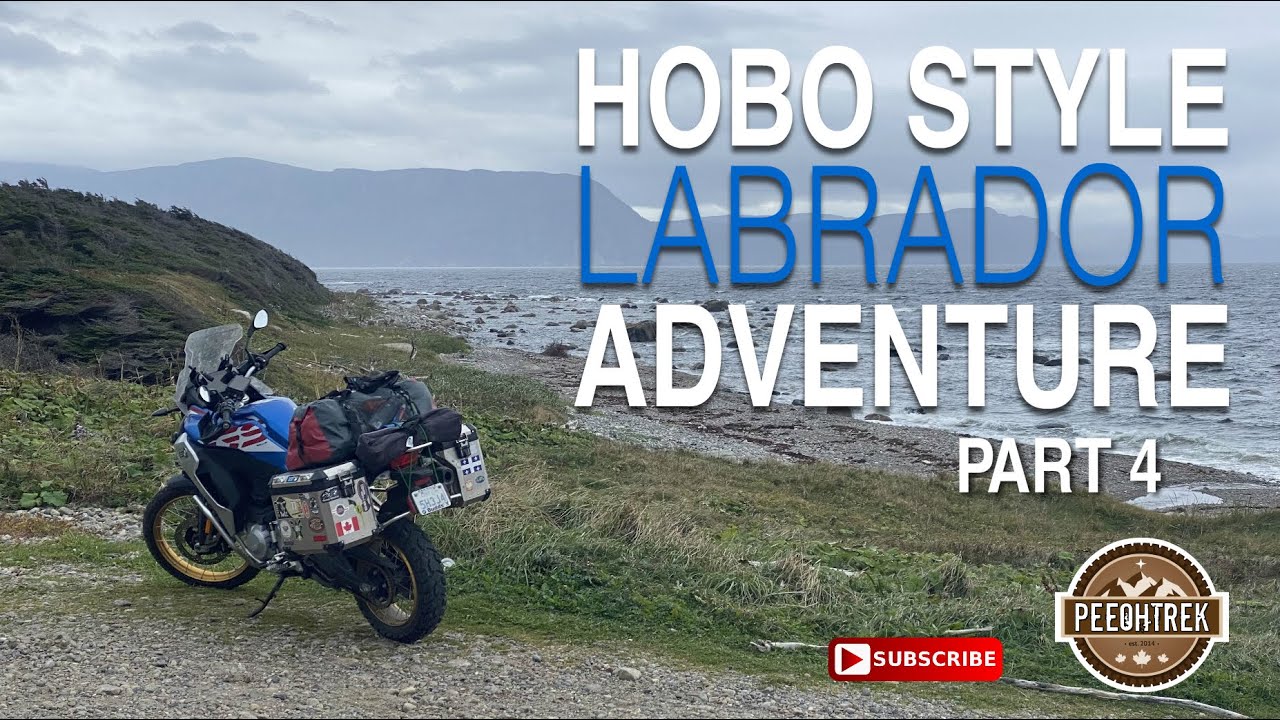 Hobo Style Labrador Adventure, Part 4