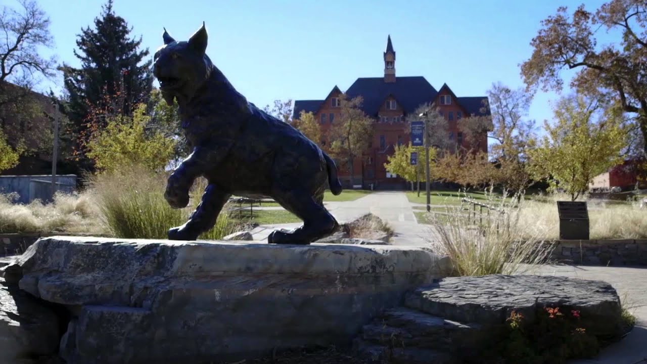 Montana State University Visit Video