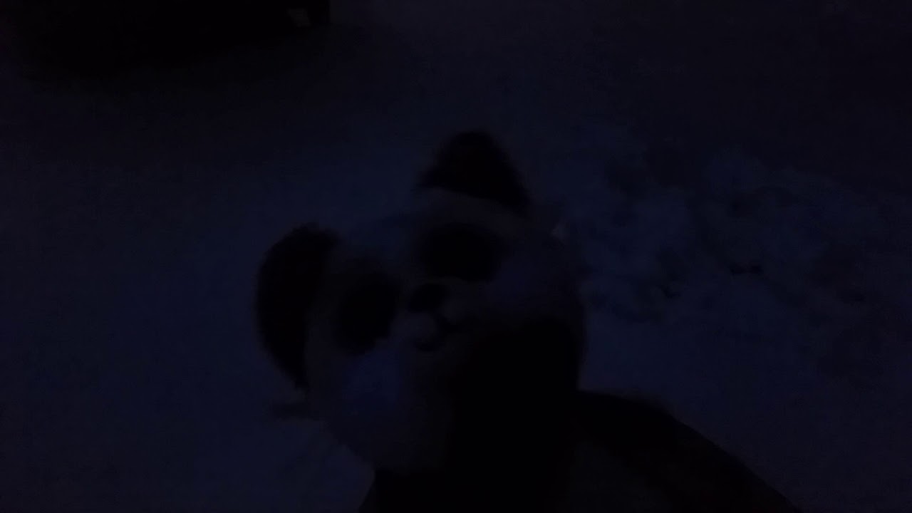 BBP:Beanie Boos Go Sled Riding pt2
