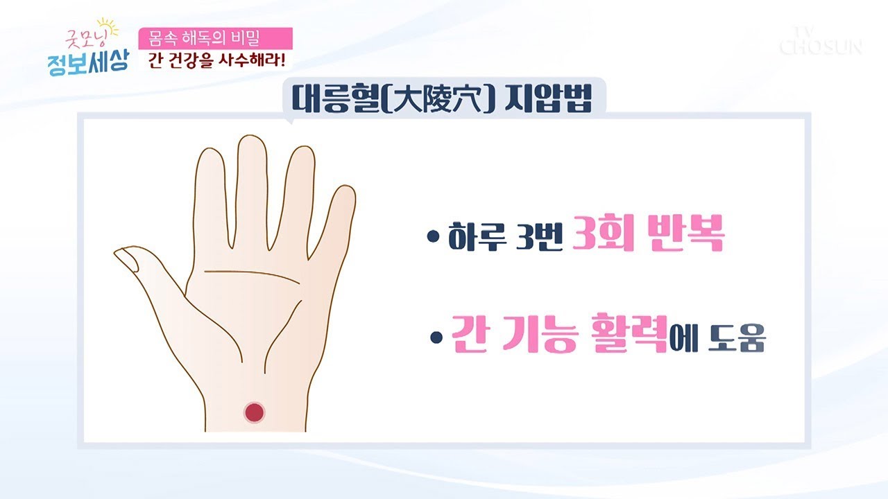 간 건강 진단 및 독소 배출 도움이 되는 ‘혈 자리’ [굿모닝 정보세상] 95회 20191029