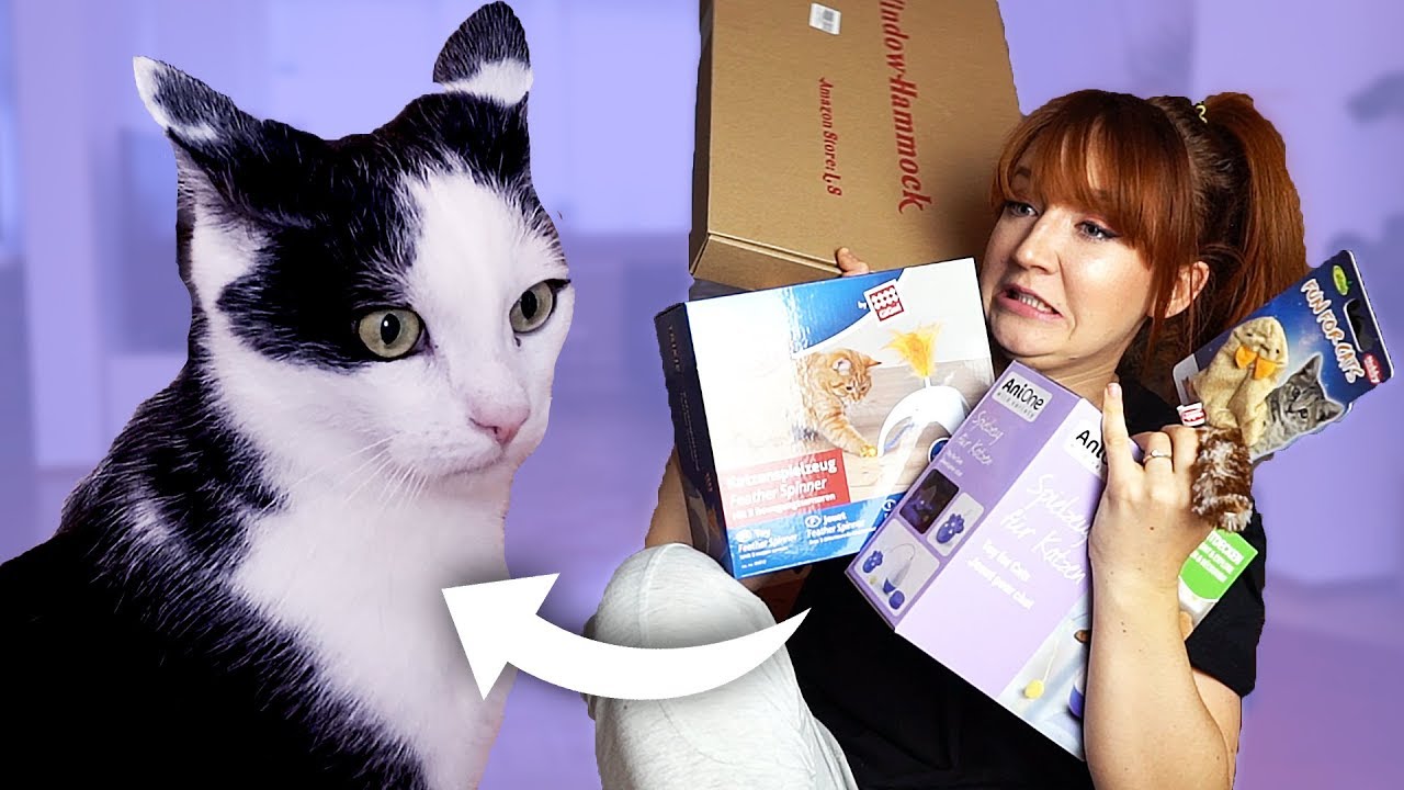 Ich teste Katzenspielzeug mit meinem Kater Jackson