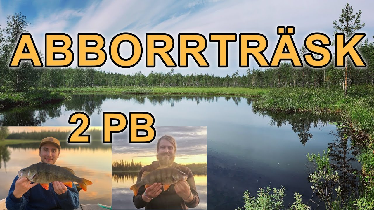 DRÖMFISKE I ABBORRTRÄSK