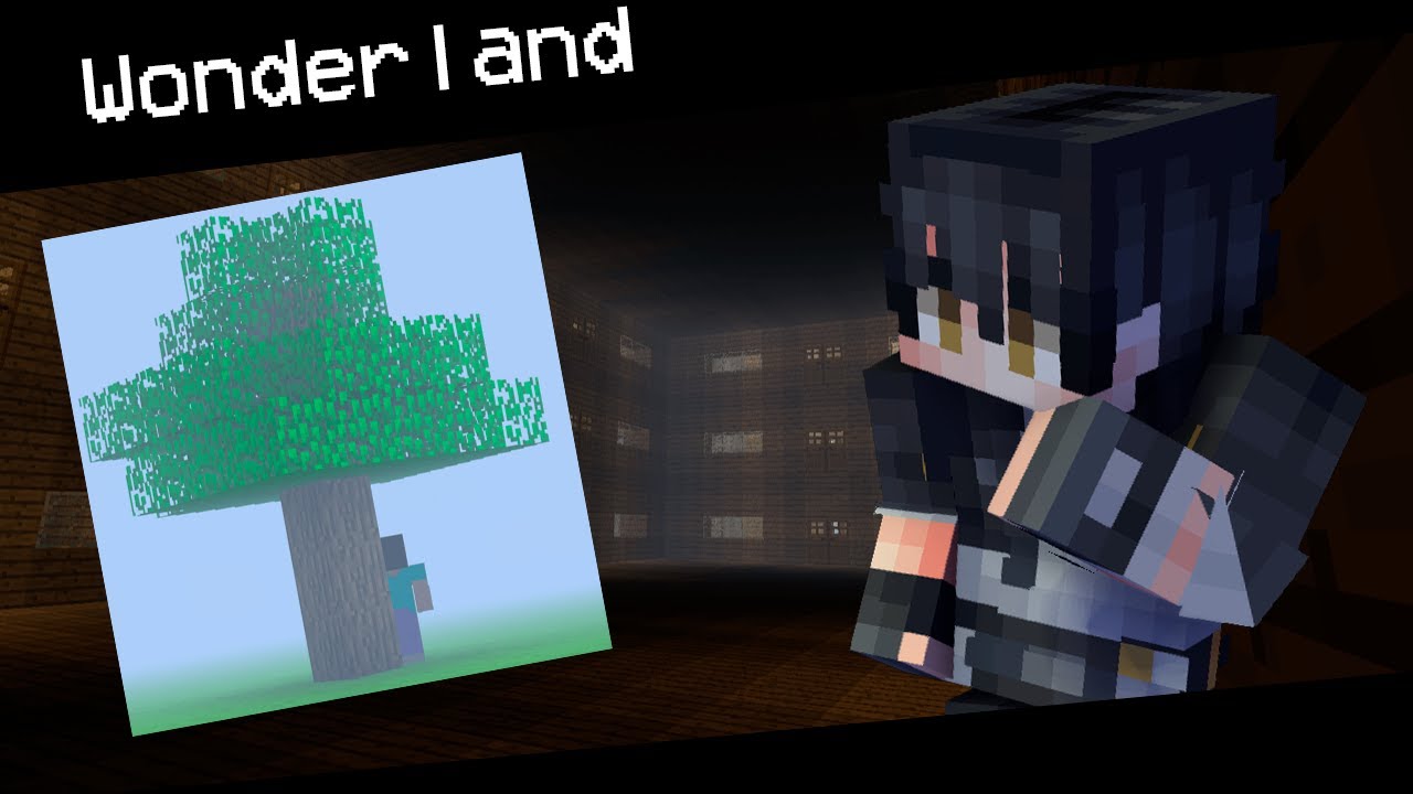 Probando wonderland ? | Primera Parte/Prueba