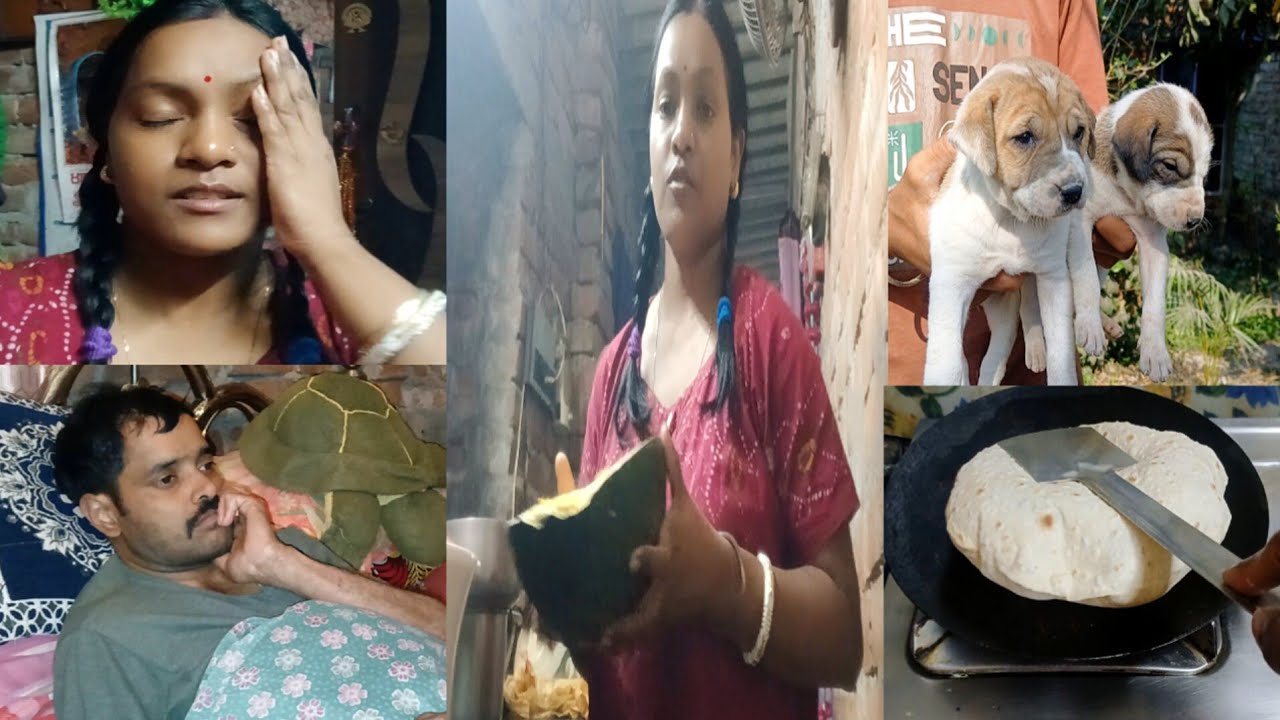 সংসারের দায়দায়িত্ব যখন নিজের কাঁধে থাকে তখন এমন অসুখ বিসুখ থামিয়ে রাখতে পারেনা #vlog #bengalivlog