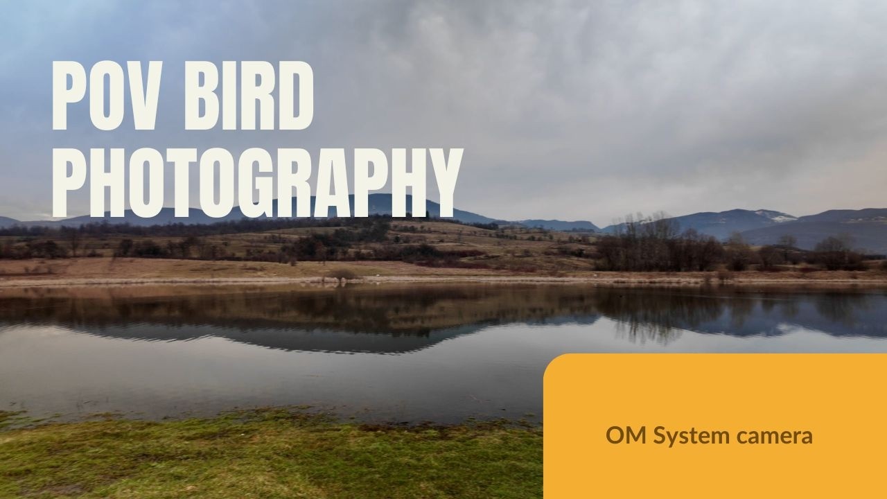 POV: Bird Photography with OM System camera