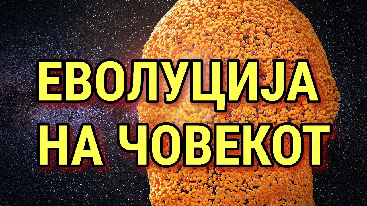 КАКО НАСТАНАЛ ЧОВЕКОТ? ДАЛИ МОДЕРНИОТ ЧОВЕК ПОТЕКНУВА ОД АФРИКА?