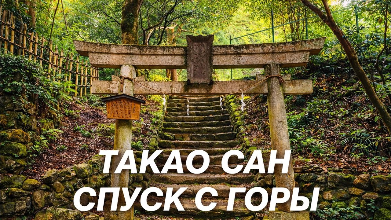 Тайные тропы на Такао-сан | Путешествуем по Японии | Хайкинг | Природа Японии 