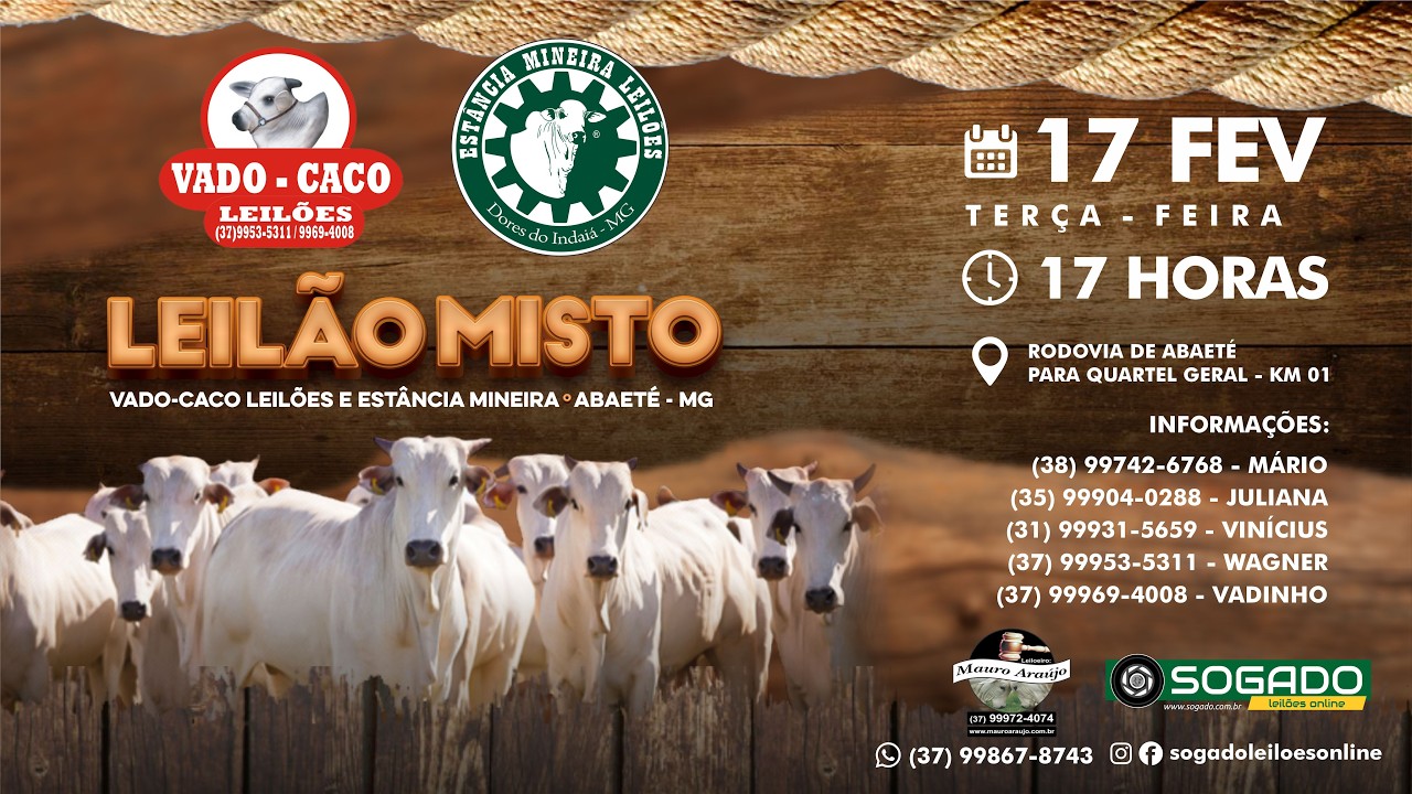 LEILÃO MISTO VADO-CACO E ESTÂNCIA MINEIRA LEILÕES EM ABAETÉ/MG - 17/02/2026