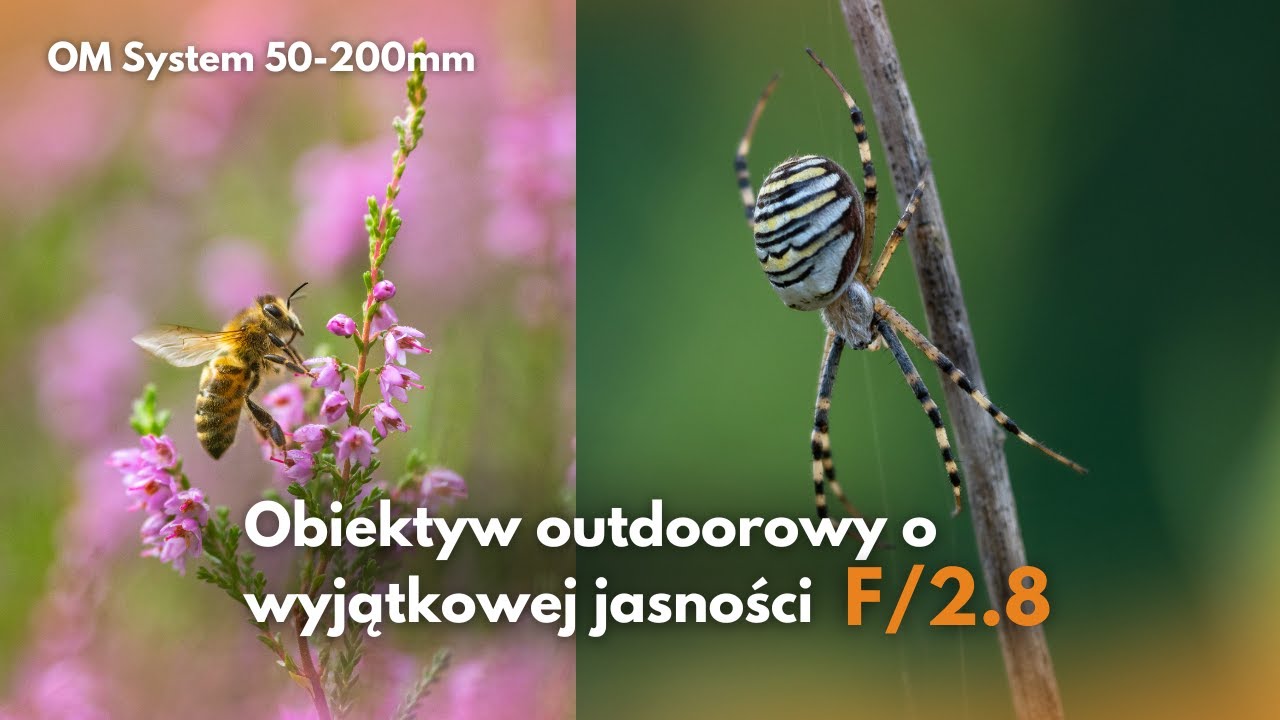 Obiektyw outdoorowy o wyjątkowej jasności! Superjasny zoom OM System 50-200mm f/2.8