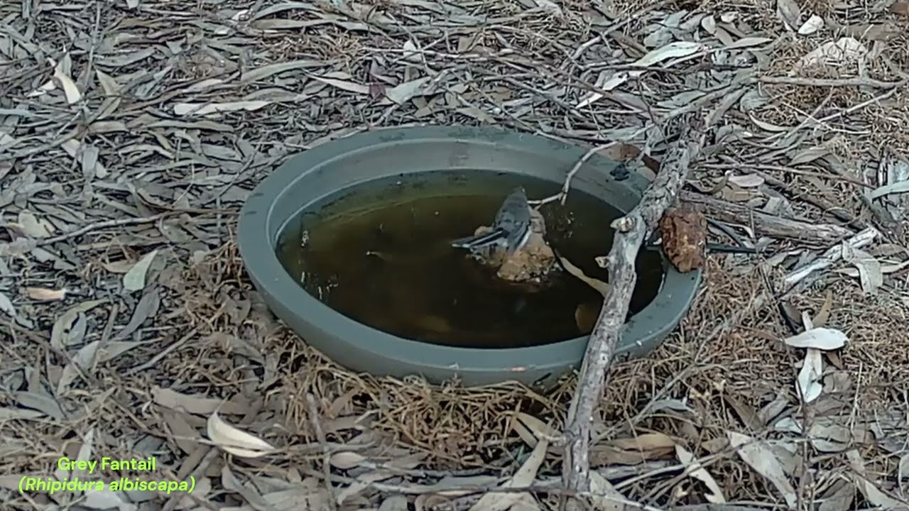 Water Haven