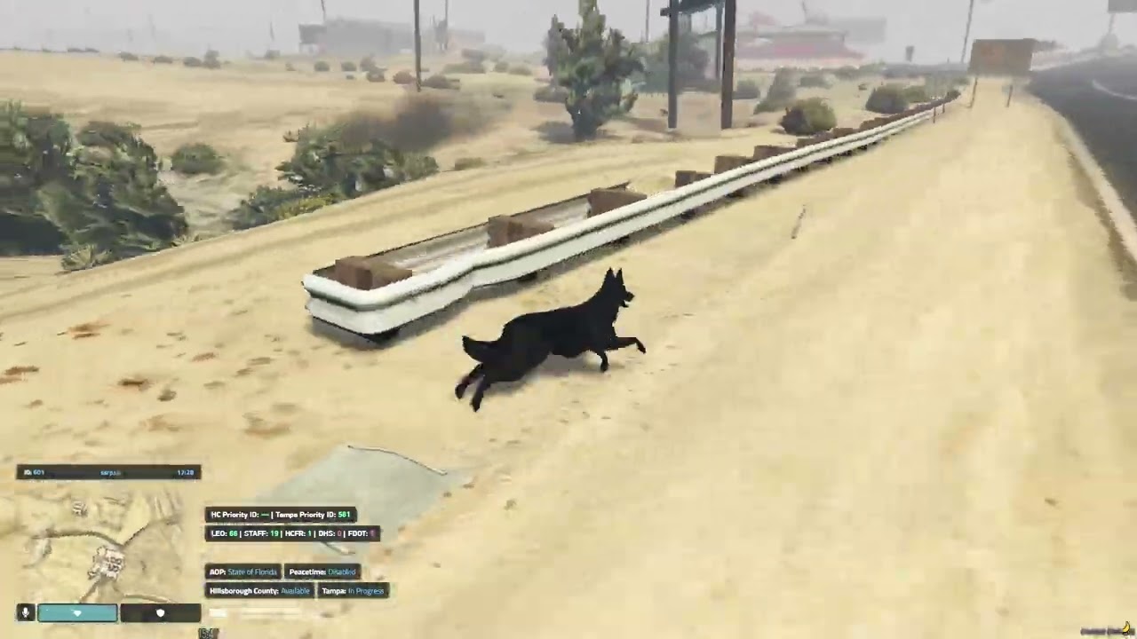 Dog avoiding evil driver (instant Karma)