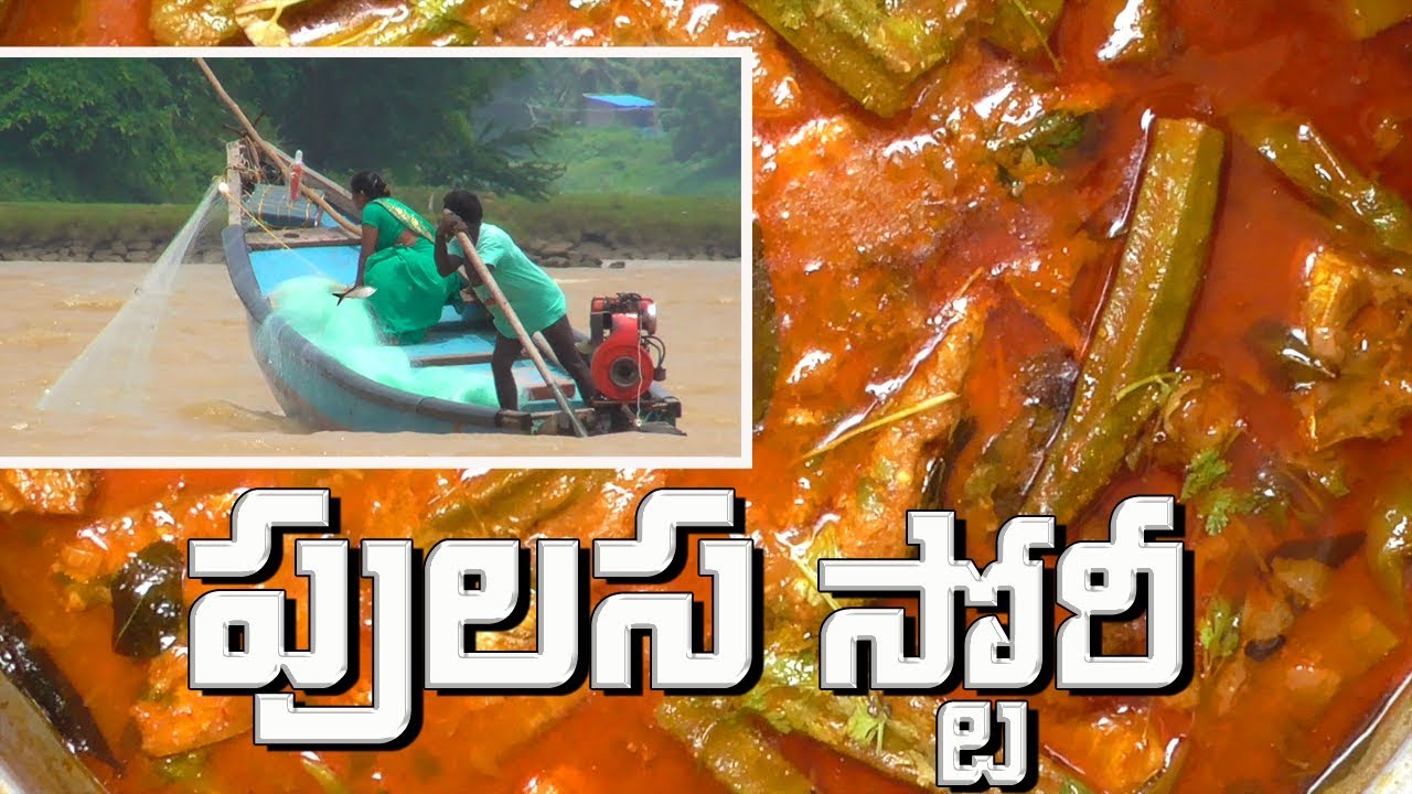 Godavari PULASA Story -  Pulasa Fish Curry - Konaseema  పులస కధ !