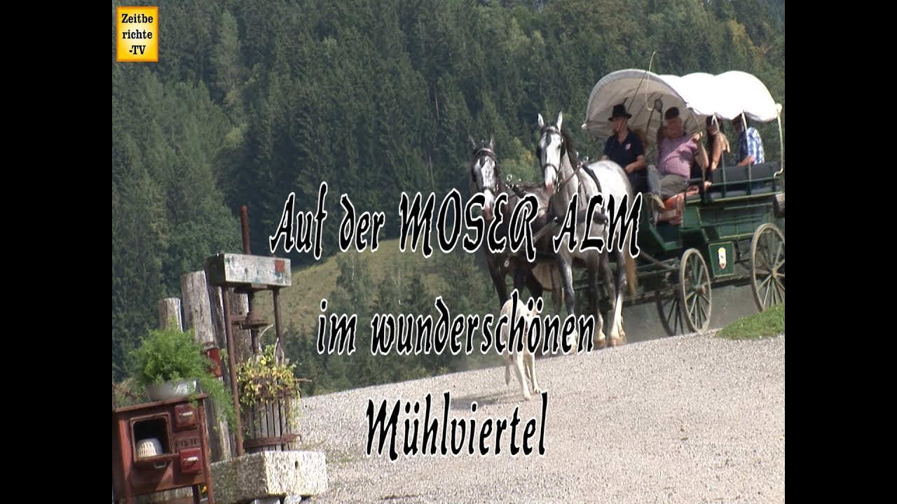Auf der MOSER ALM im wunderschönen Mühlviertel