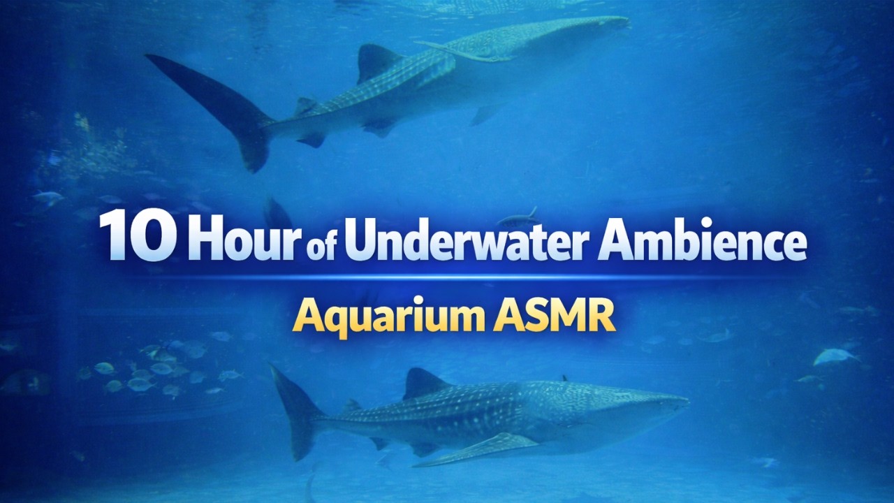 10 Hour Aquarium ASMR for Deep Sleep | Calming Fish Tank Ambience (4K)