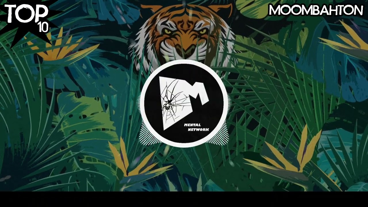 Top 10 Drops: MOOMBAHTON 🌴 (February 2026)