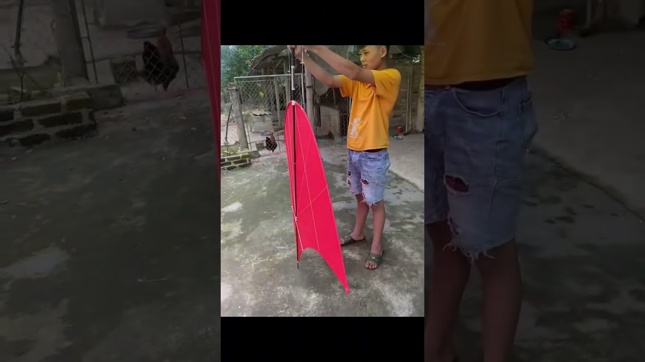 (DIỀU SÁO) tổng hợp những con diều sáo to và đẹp nhất 