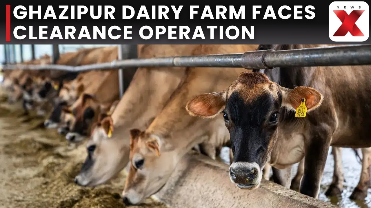 Delhi Development Authority and MCD Conduct Anti-Encroachment Drive in Ghazipur Dairy Farm