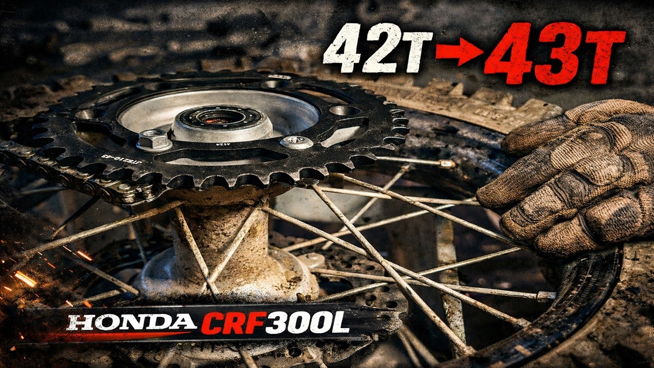 CRF300L kett lõtv – kas suurem tagumine hammakas on lahendus?