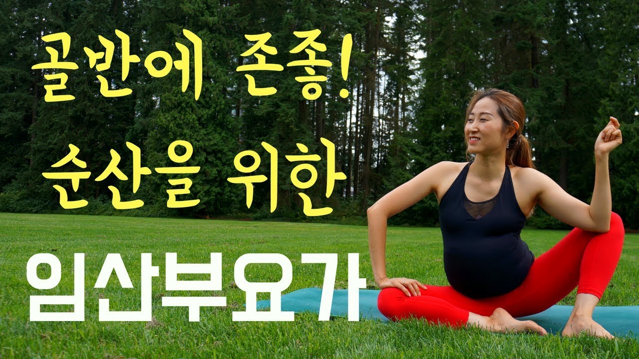 임산부 요가 - 골반에 존좋! 순산 요가 with 요가맘
