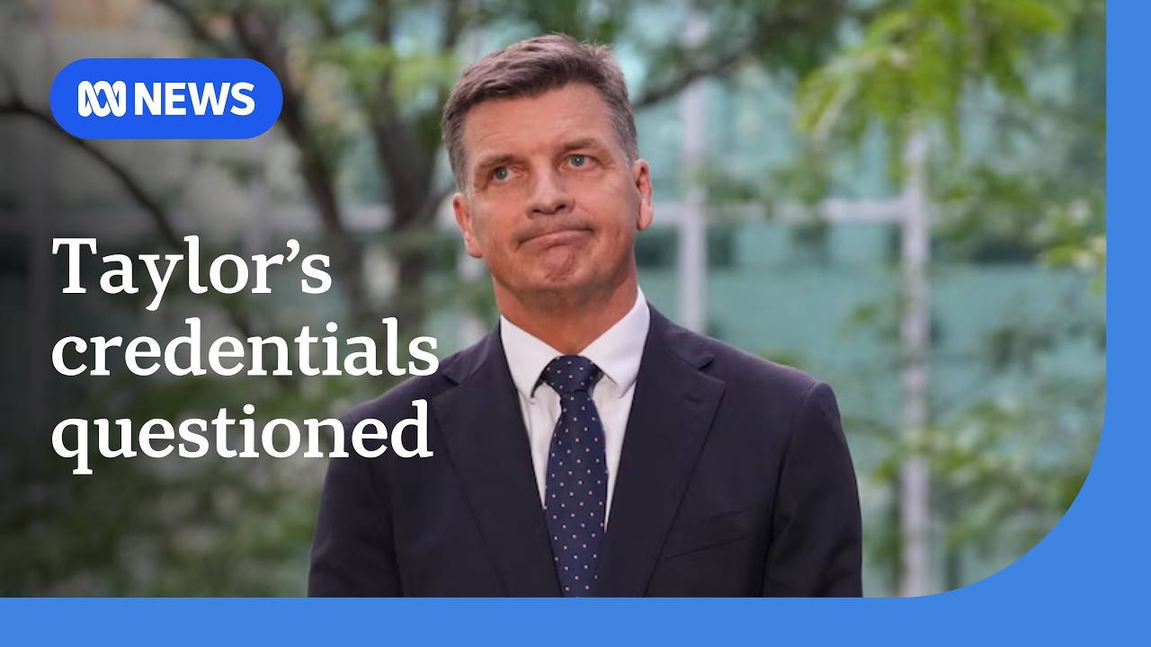 Opposition questions Angus Taylor's economic credentials | ABC NEWS