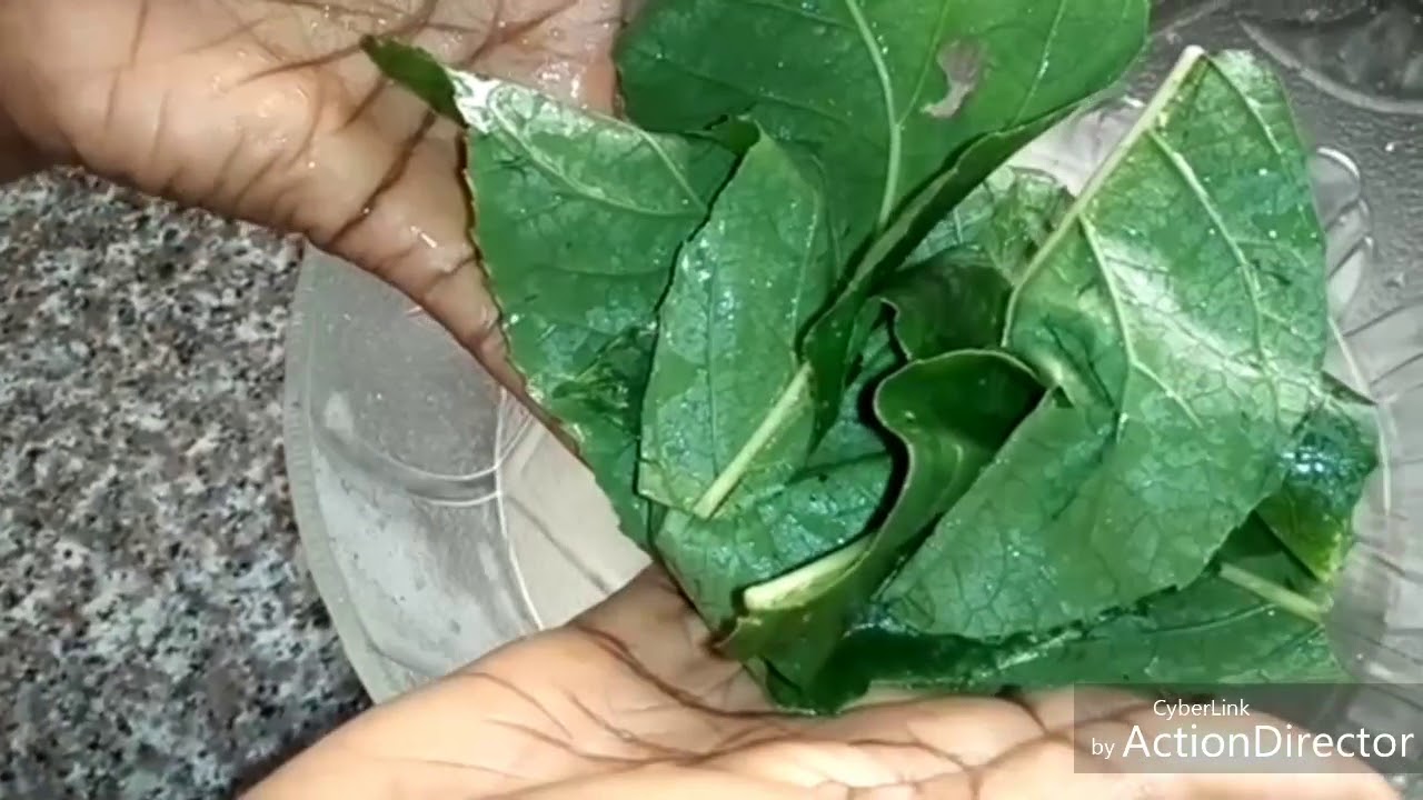 HOW TO PREPARE BITTER LEAF JUICE