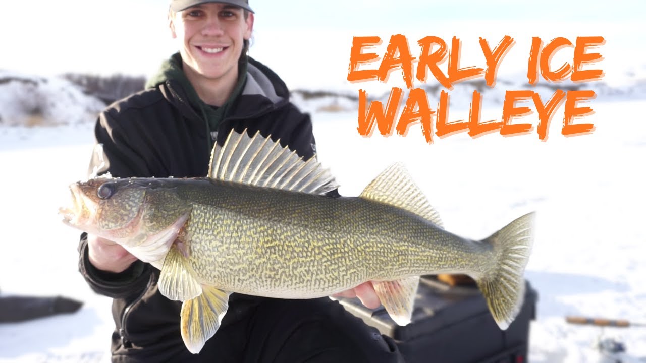 Early Ice Walleye Fishing!