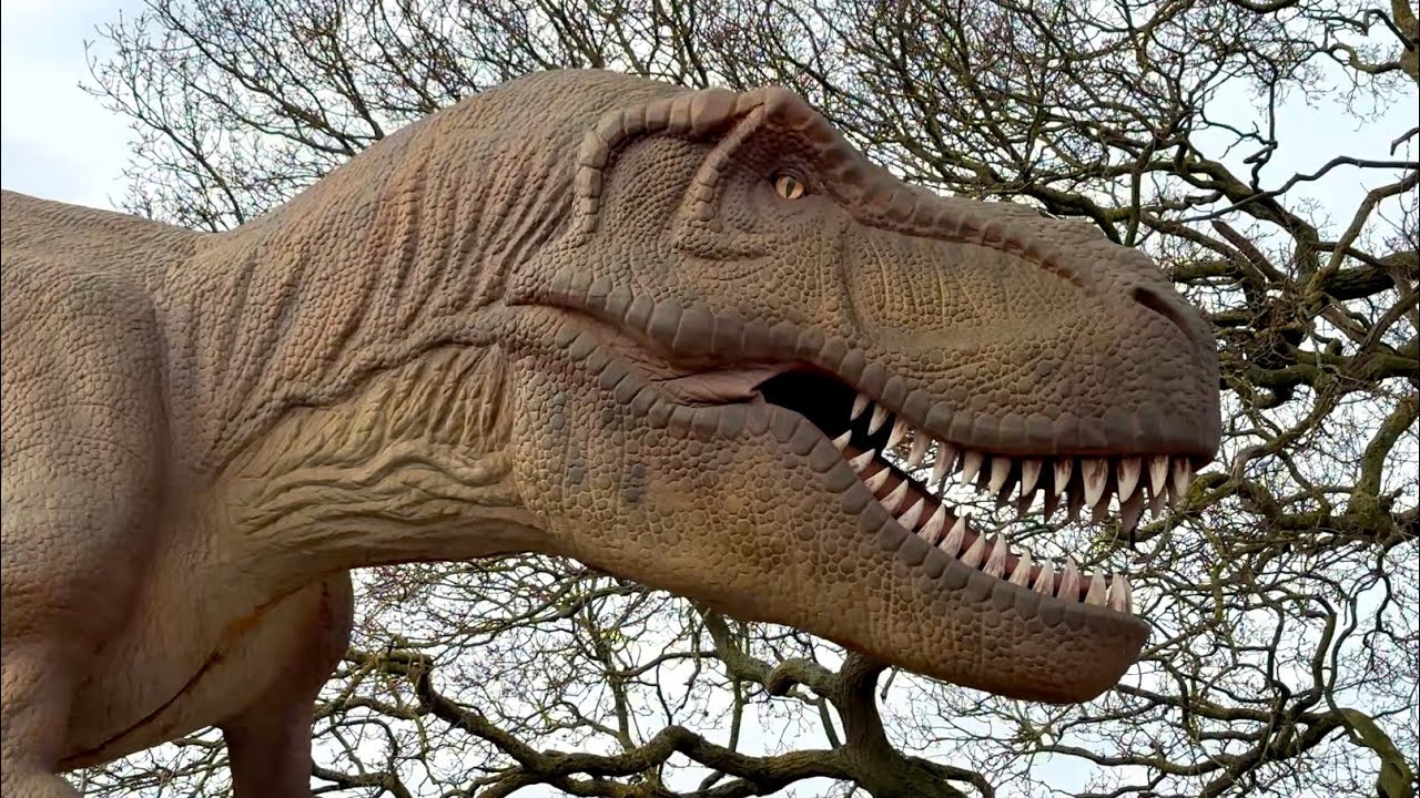 Return to PANGEA - Dinosaurs at Yorkshire Wildlife Park