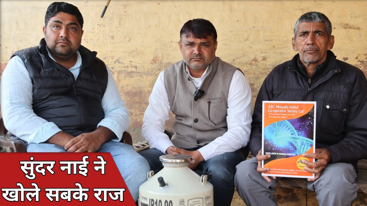सूंदर नाई ने खोले सबके राज, कुरुक्षेत्र पशु मेले में मिलेंगे ABC के सीमेन || Dr. Ashok (9812699641)