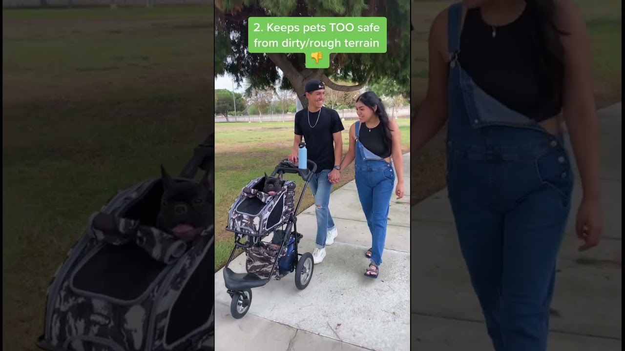 This is why you SHOULDN&rsquo;T😉 get a pet stroller👏 #petstroller #petlover #cutepets #petproducts #pet