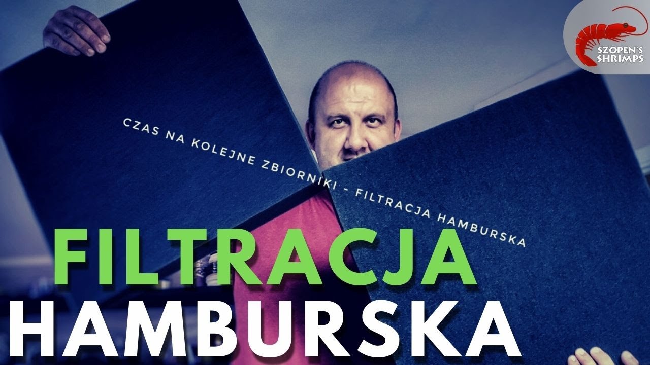 FILTRACJA HAMBURSKA W AKWARIUM - JAK TO DZIAŁA / ZAKŁADANIE KREWETKARIUM DLA CARIDIN