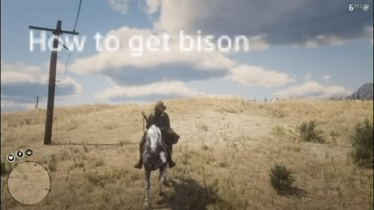 How to get perfect Bison pelt as John 