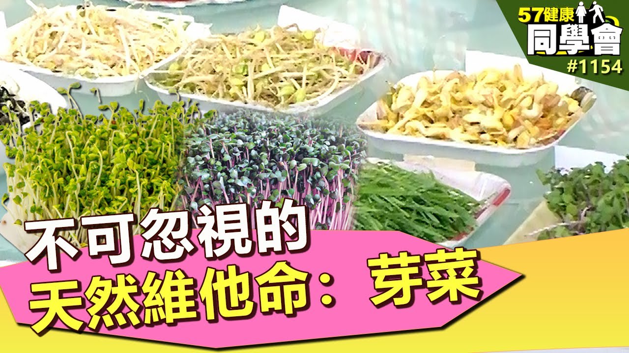 不可忽視的天然維他命：芽菜【57健康同學會】第1154集 2014年