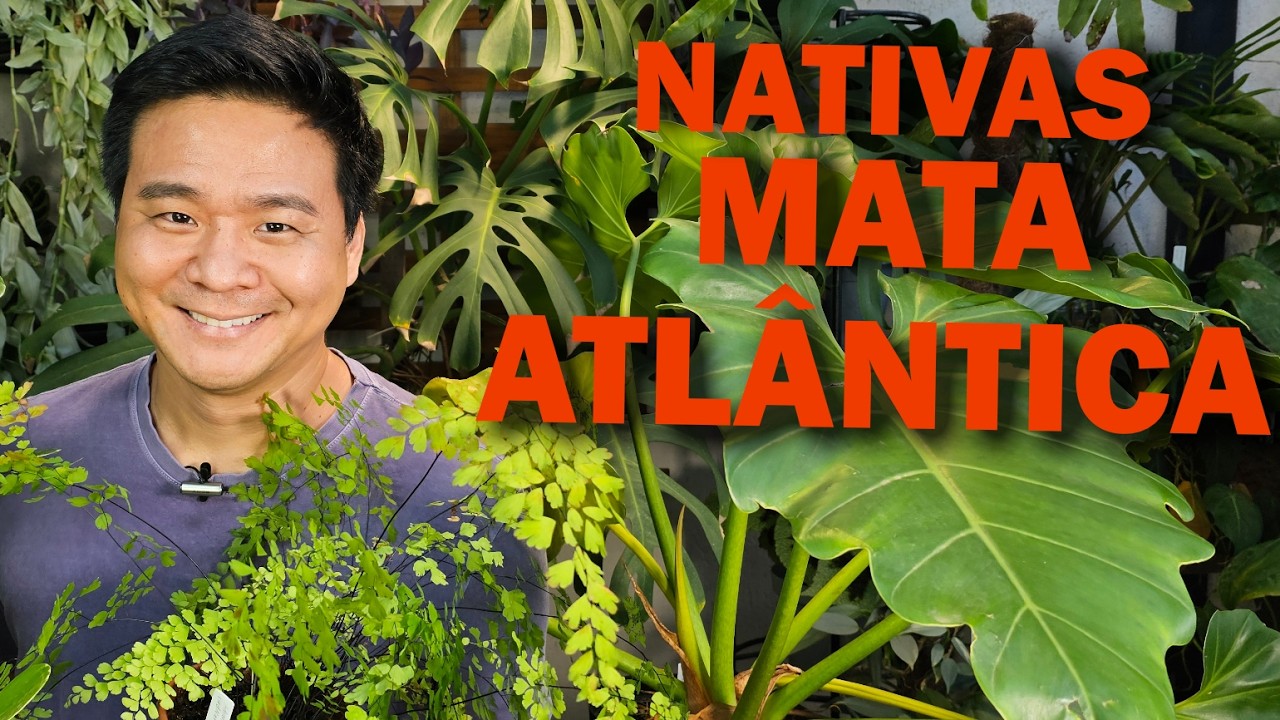 Plantas nativas da MATA ATLÂNTICA