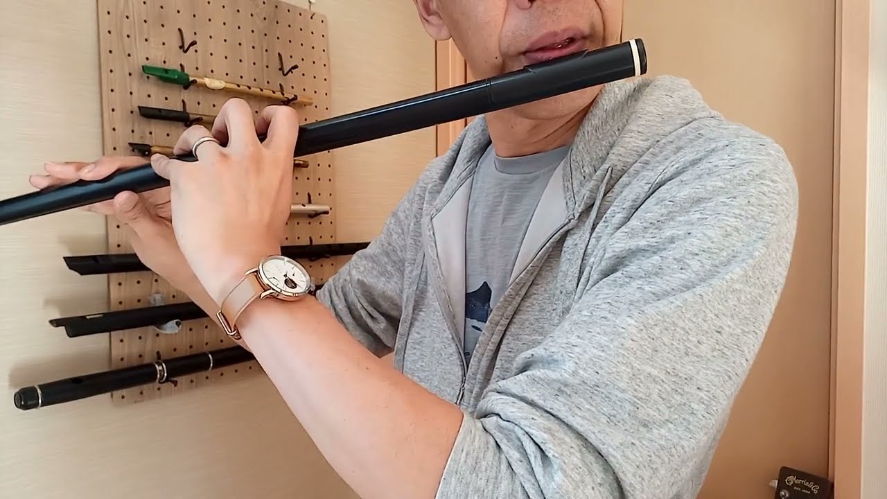 An Droighne&aacute;n Donn : Irish Flute