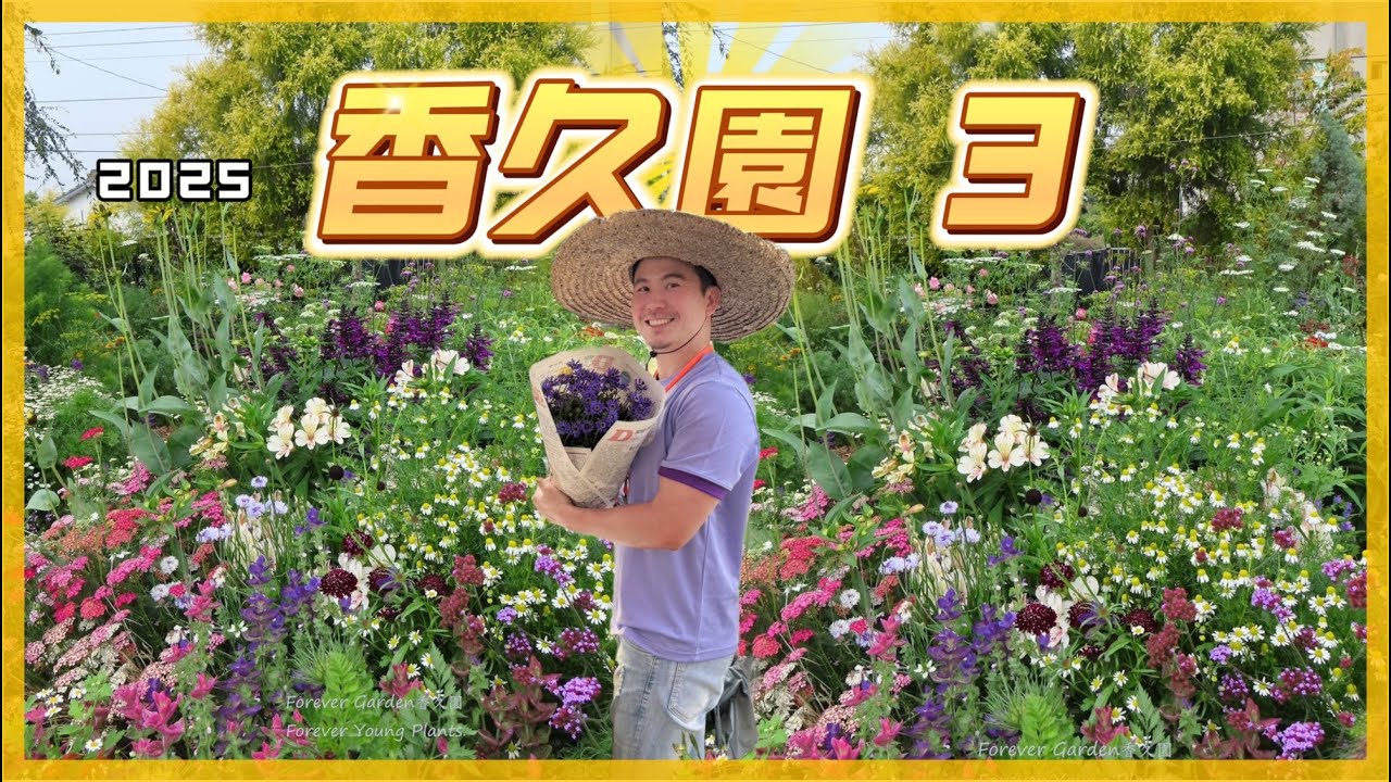 【田尾系列 ep37】香久園繁殖場大公開，三月是盛花期，開放到4月6日。還沒去的還不快點~~。我是愛種花的伊恩，這是一個分享種植物的小頻道，讓我們一起變綠手指吧。＃香久園＃伊恩愛種花