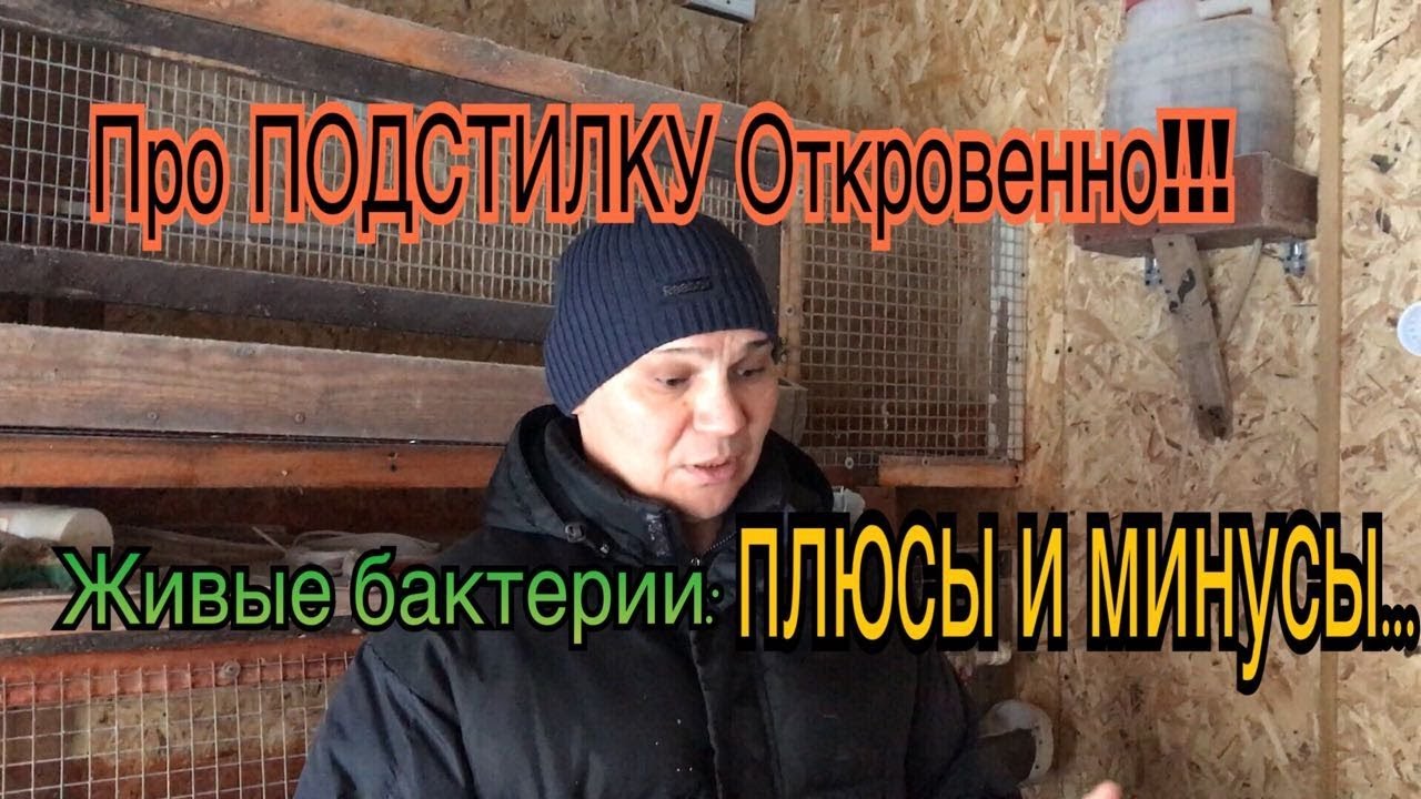 Про  Несменяемую ПОДСТИЛКУ Откровенно!!! Живые бактерии: плюсы и минусы!!!