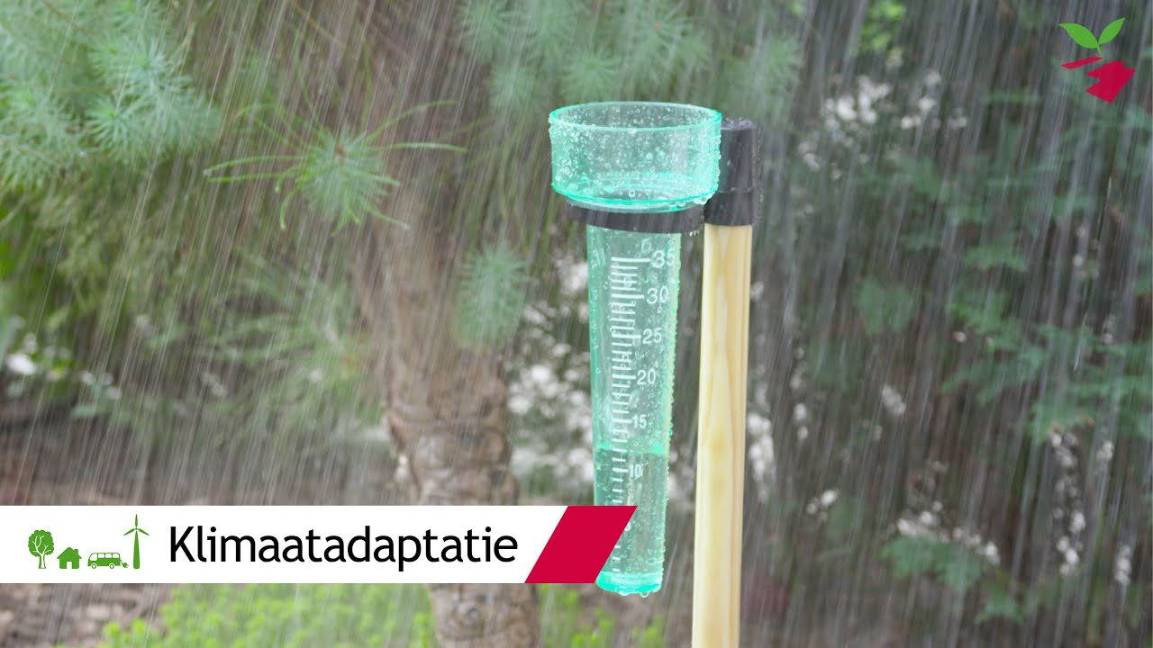 Klimaatadaptatie: zo bereid je je voor op extremere weersomstandigheden | Gemeente Lansingerland